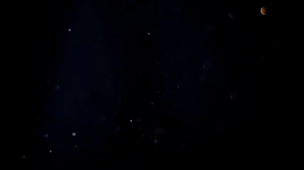 Ménage com MILF brasileira maravilhosa montando numa grande vara preta